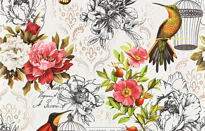 Брянские Обои Колибри  гфр 4  С66БР-ГП